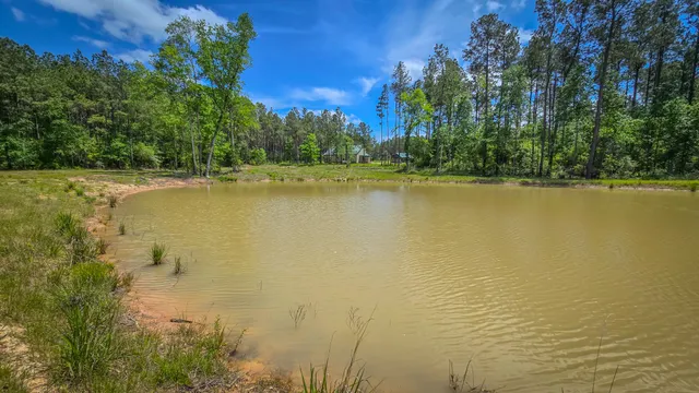 $1,375,000 | 2187 Nettles Cemetery Road, Livingston, TX 77351