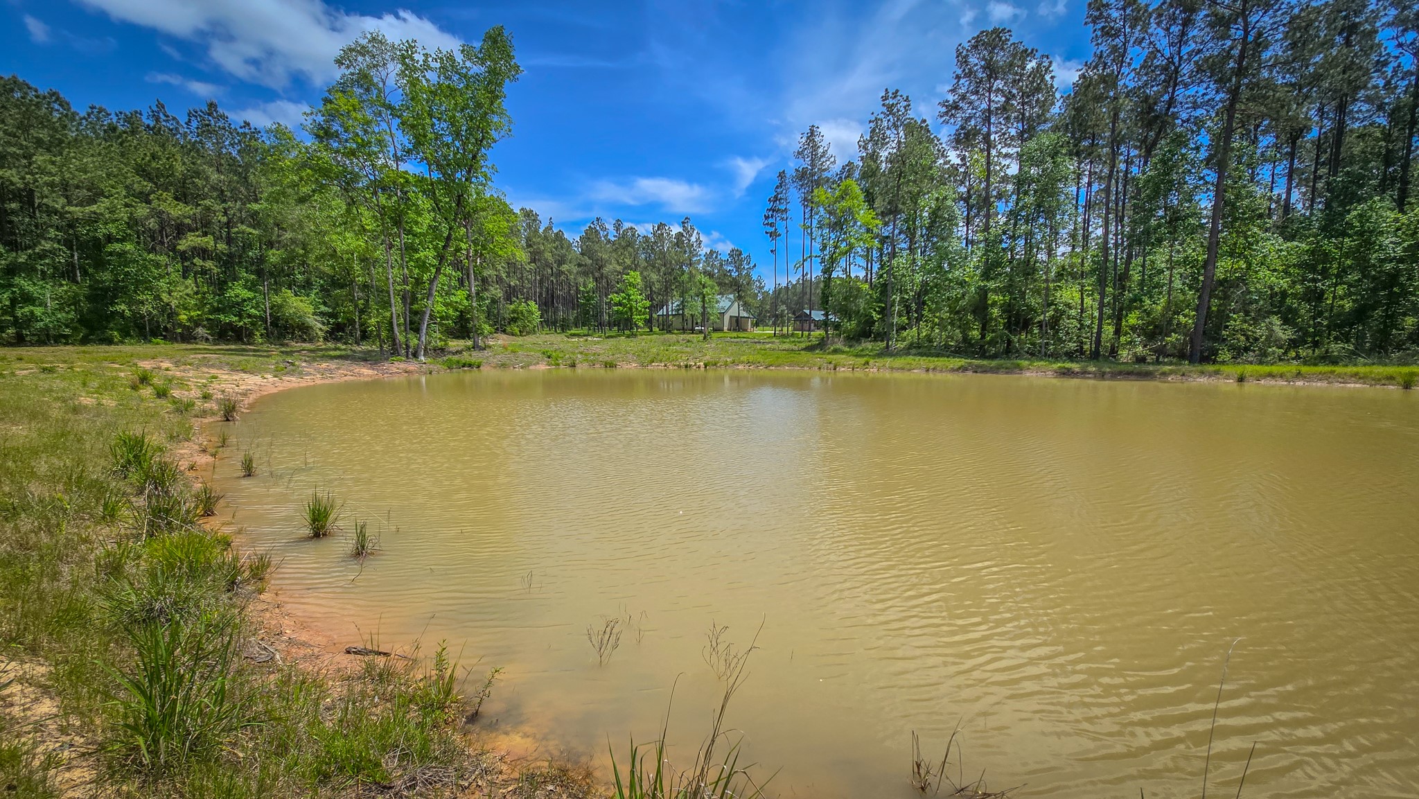 2187 Nettles Cemetery Road Livingston, TX 77351 - Photo 20 of 48