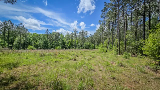 $1,375,000 | 2187 Nettles Cemetery Road, Livingston, TX 77351