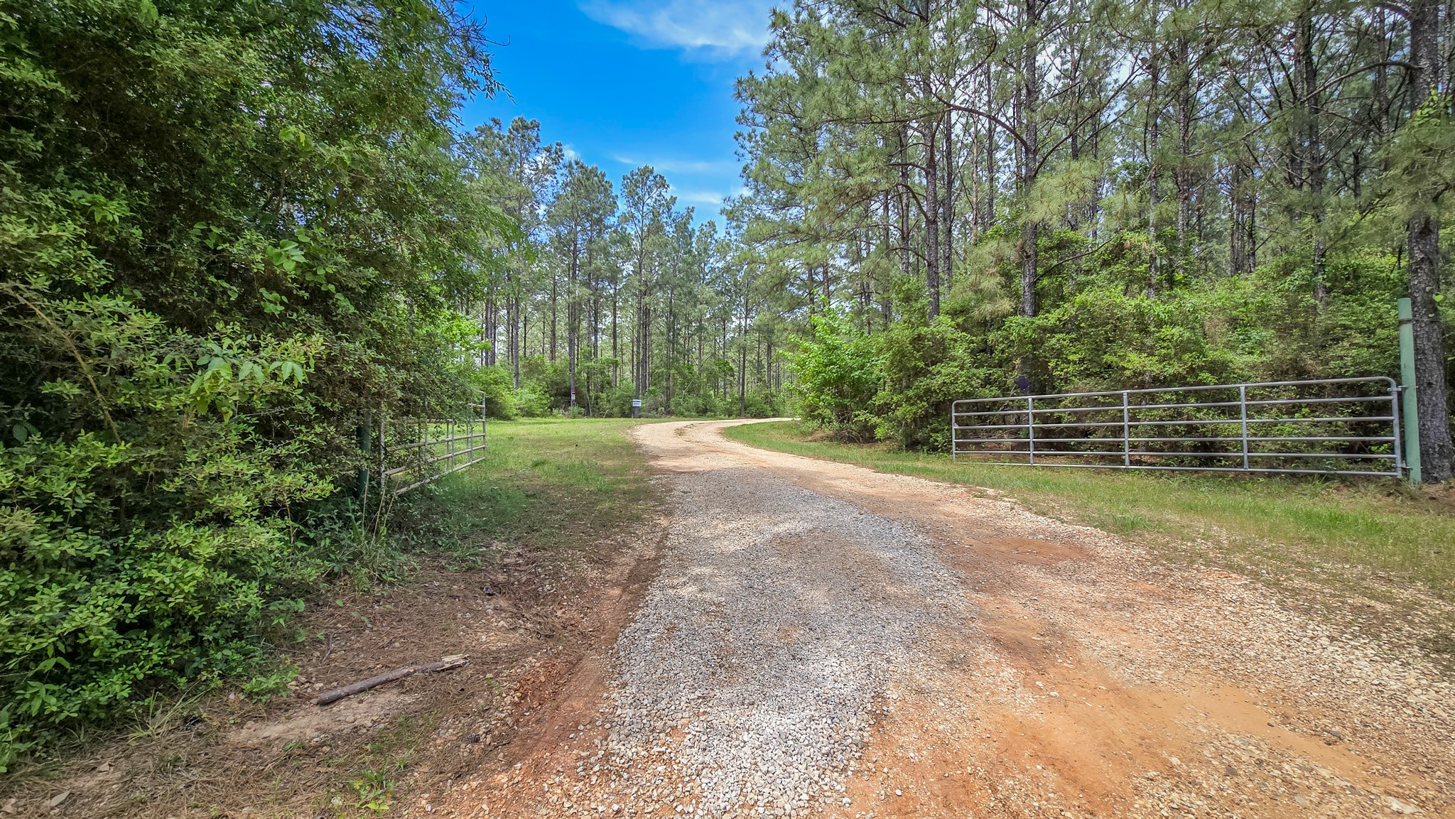 2187 Nettles Cemetery Road Livingston, TX 77351 - Photo 22 of 48