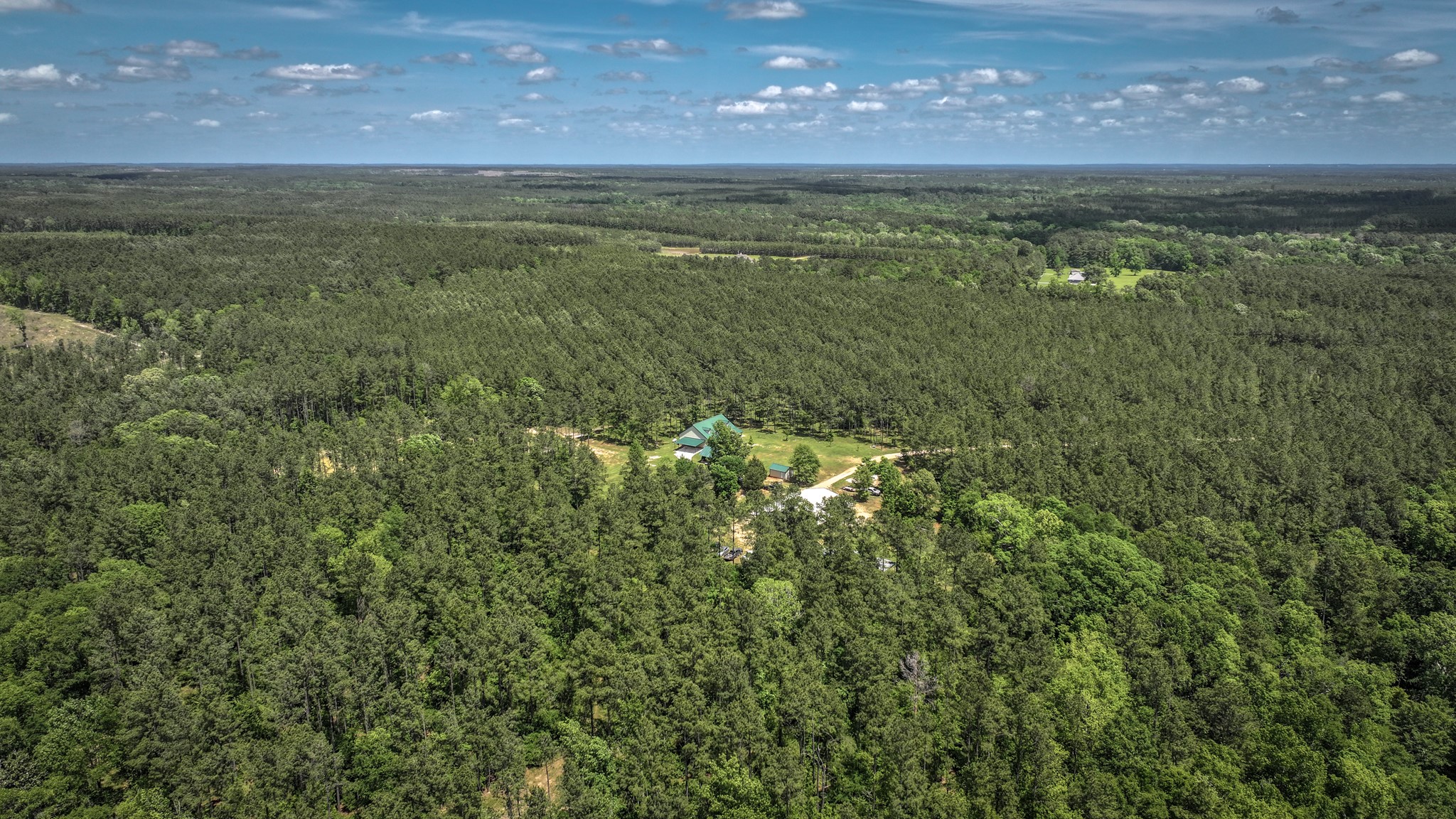 2187 Nettles Cemetery Road Livingston, TX 77351 - Photo 6 of 48