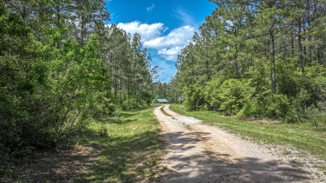 $1,375,000 | 2187 Nettles Cemetery Road, Livingston, TX 77351
