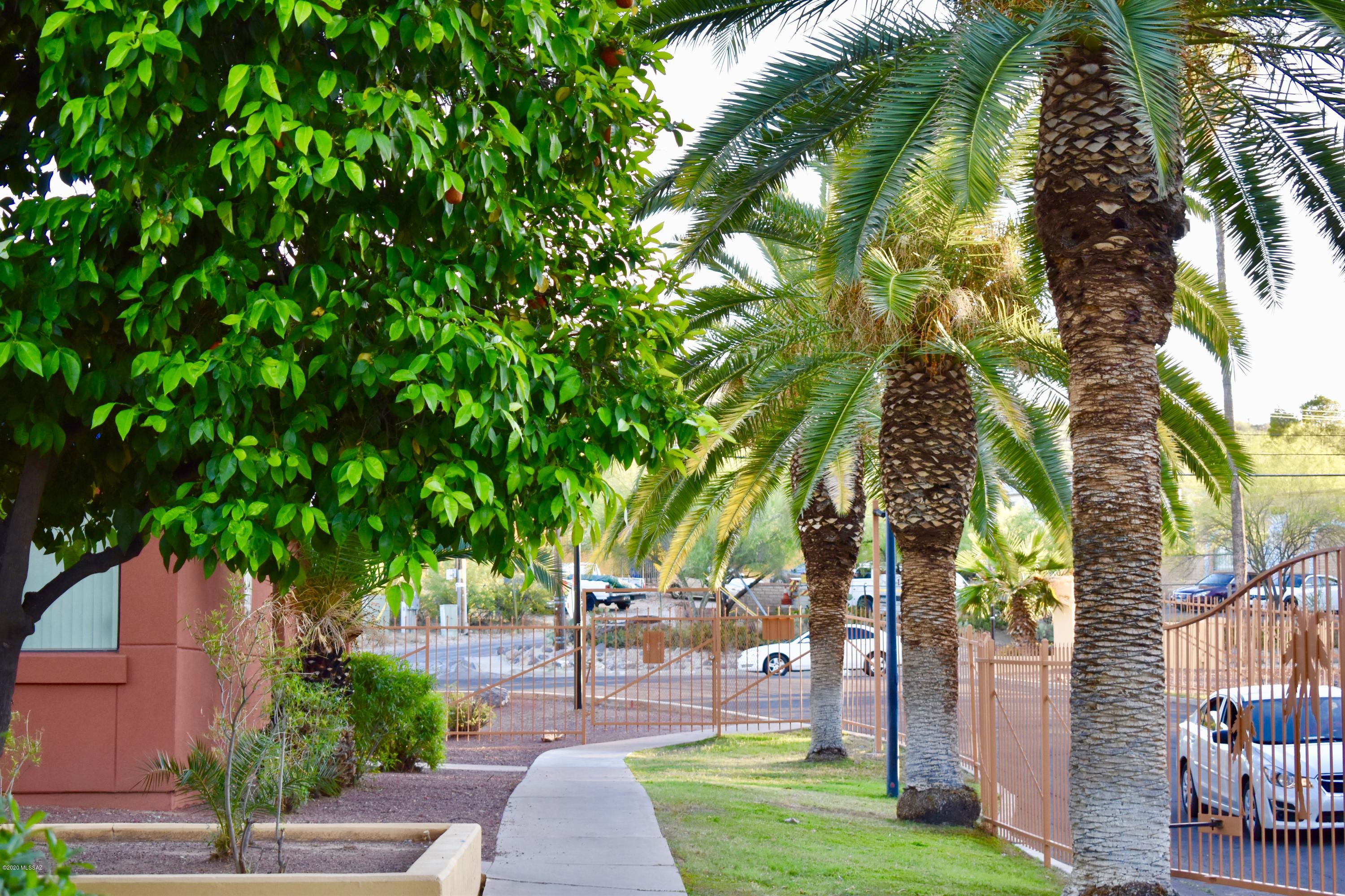 350 North Silverbell Road Tucson, AZ 85745 - Photo 19 of 26