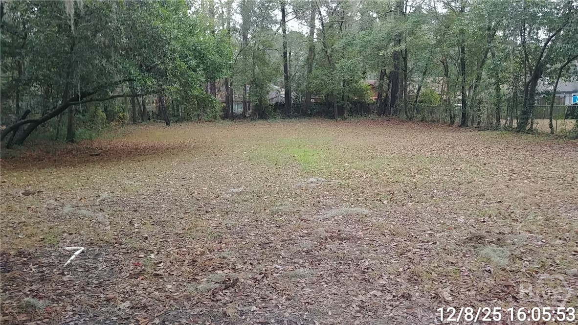 6916 Key Street Savannah, GA 31406 - Photo 20 of 20 back yard