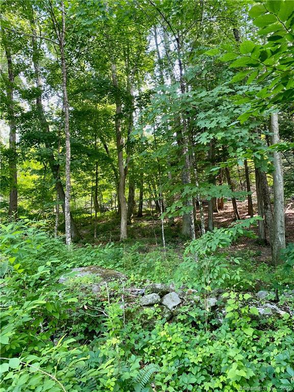 21 Alberts Hill Road Newtown, CT 06482 - Photo 1 of 1