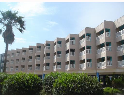 a view of a building with a garden