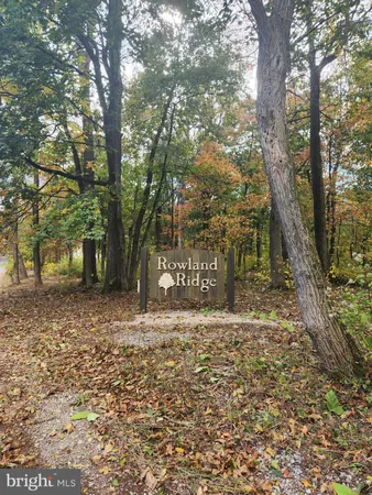 a view of a yard with trees