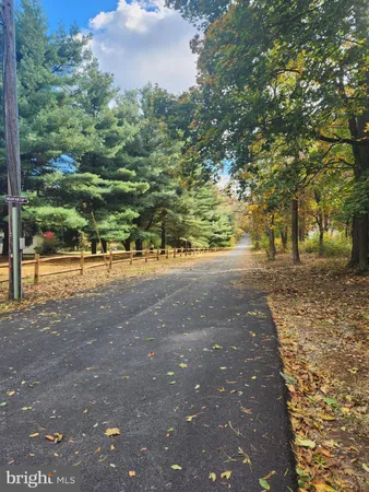 a view of a road with trees