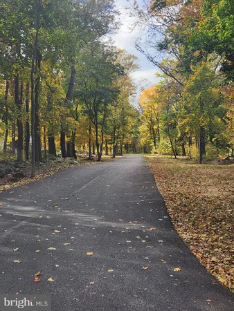 a view of road with trees