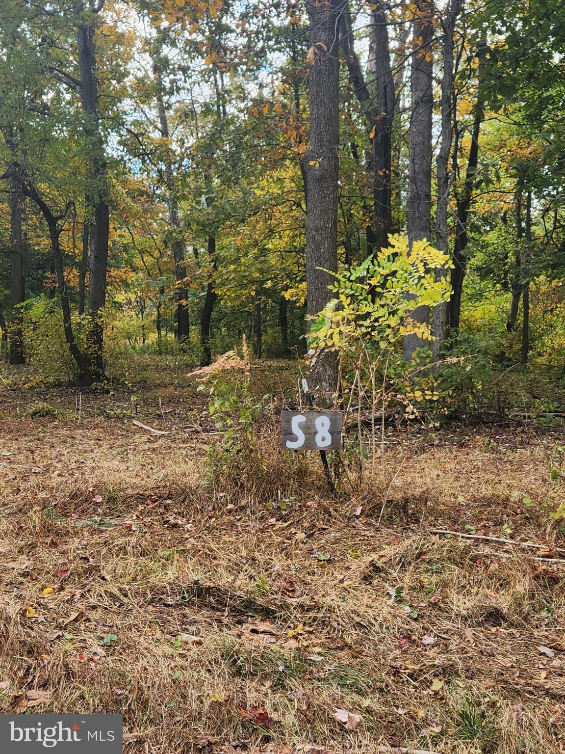 58 Mountaintop Road Cascade, MD 21719 - Photo 7 of 10 a view of a yard