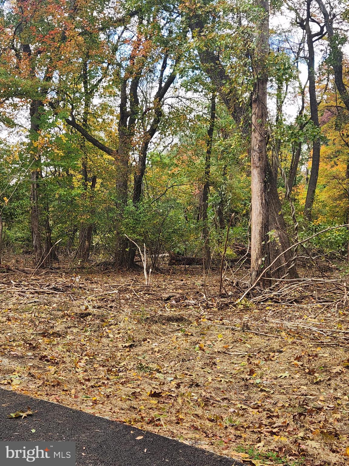 58 Mountaintop Road Cascade, MD 21719 - Photo 9 of 10 a backyard of a house with lots of trees