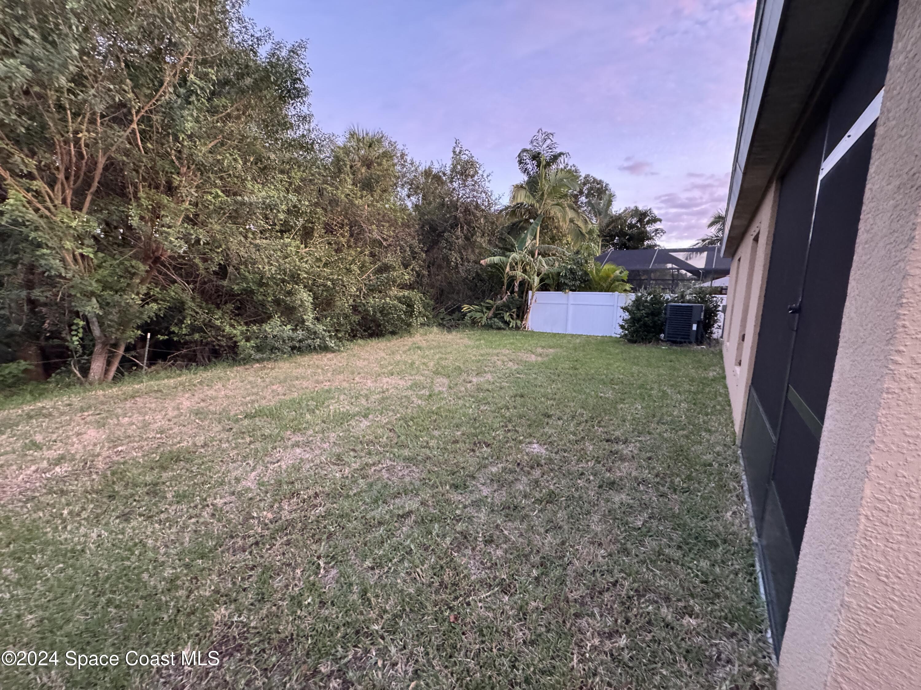 5281 Talbot Boulevard Cocoa, FL 32926 - Photo 29 of 31 a view of a yard with a tree