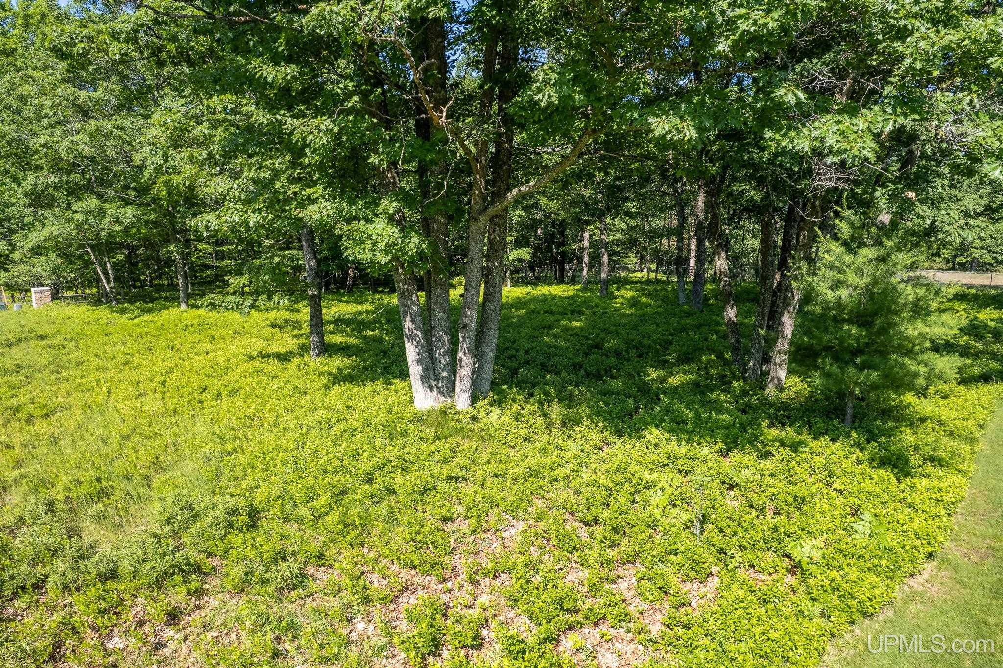Tbd Tipperary Road Gladstone, MI 49837 - Photo 9 of 18