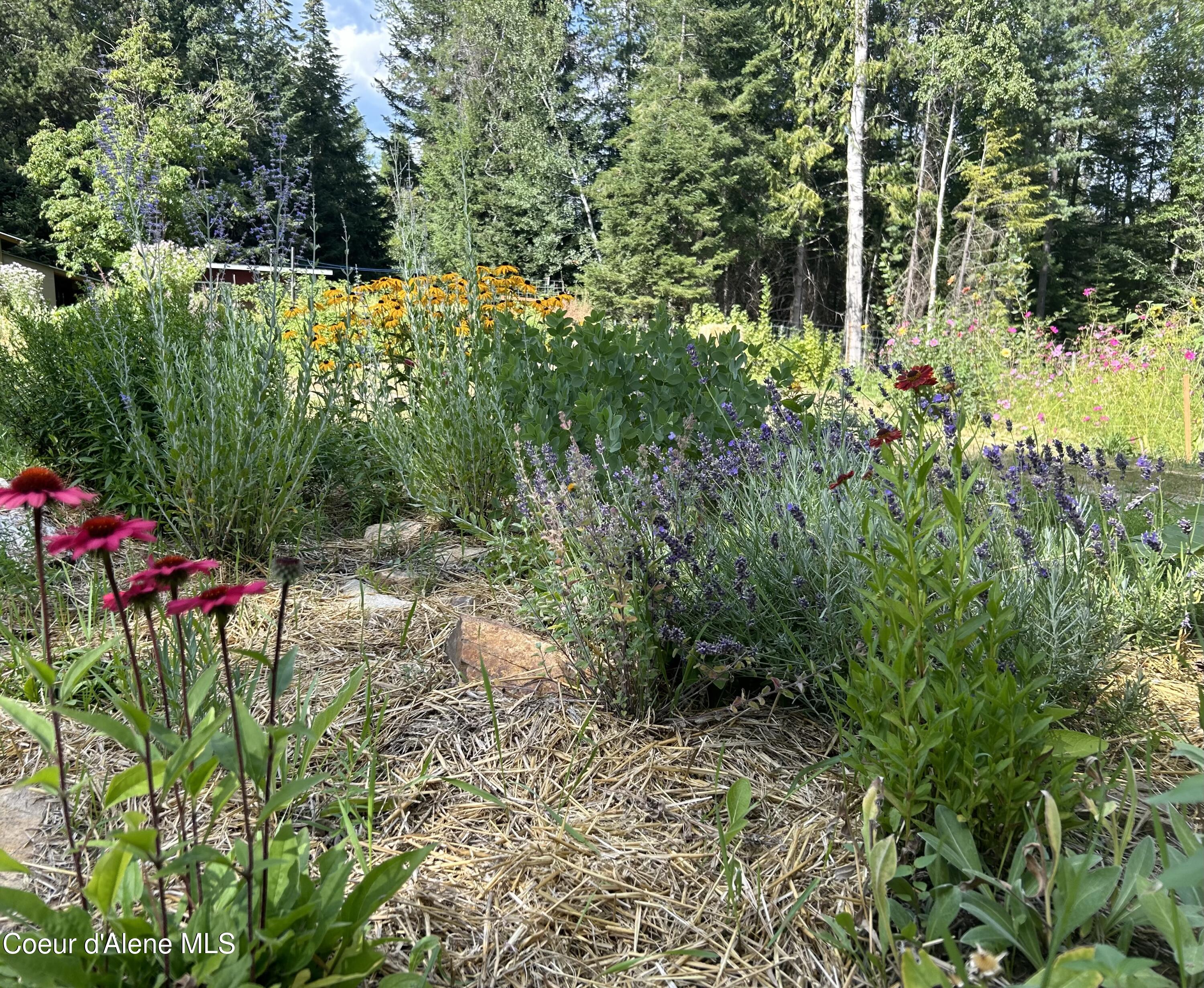 633 Old Mill Road Sandpoint, ID 83864 - Photo 45 of 50 IMG_0080