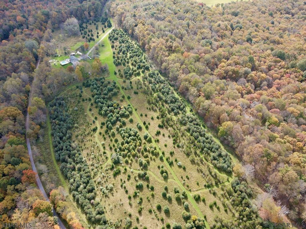 49-acres 49-acres Off Of Snake Road Ebensburg, PA 15931 - Photo 4 of 6
