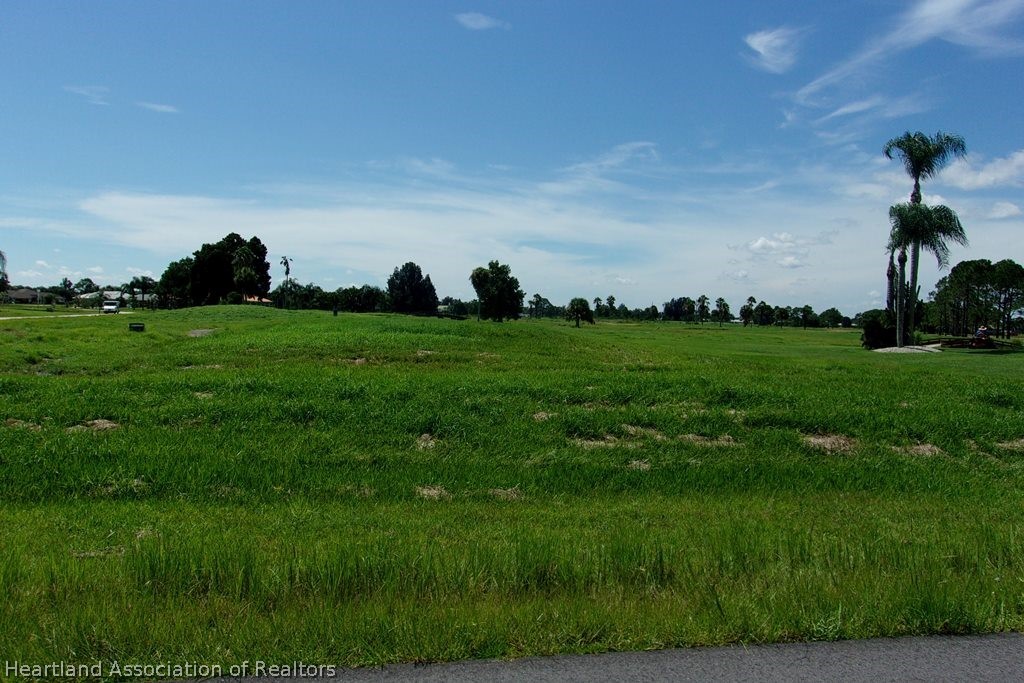6609 Concord Street Sebring, FL 33876 - Photo 11 of 14 a yard with lots of green space and trees in the background