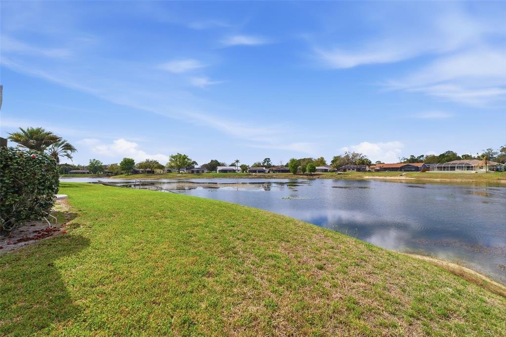 9151 Lingrove Road Weeki Wachee, FL 34613 - Photo 19 of 39