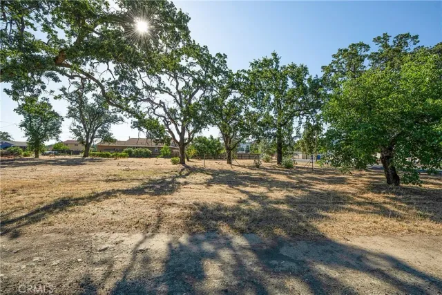 a view of dirt yard with a tree