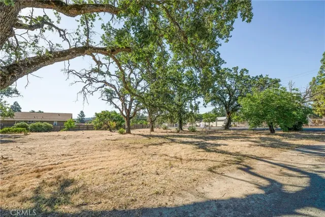 a view of dirt yard with a large tree