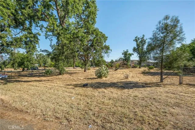 a view of yard with trees