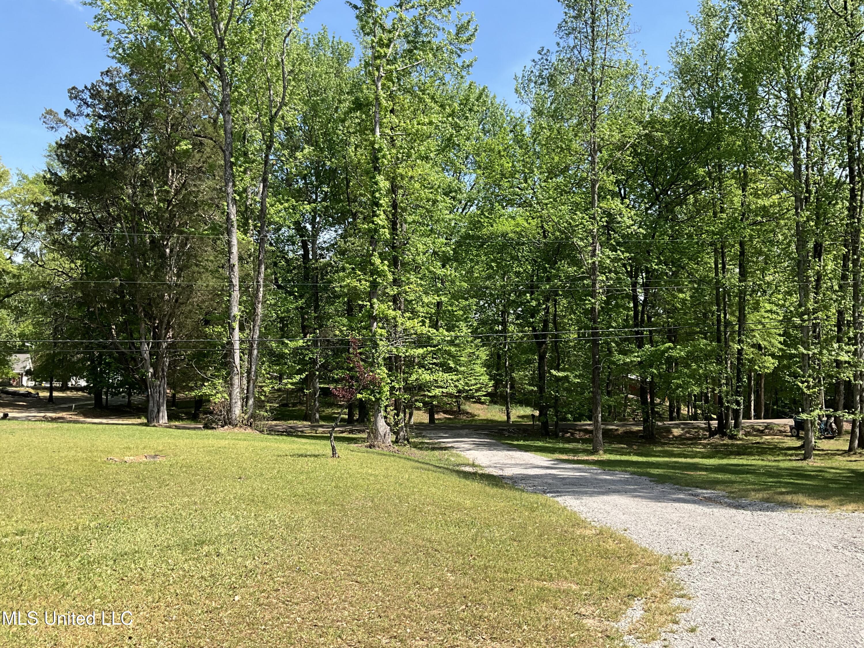 1524 Beersheba Road Columbus, MS 39702 - Photo 29 of 29 1524 Beersheba Front Yard A