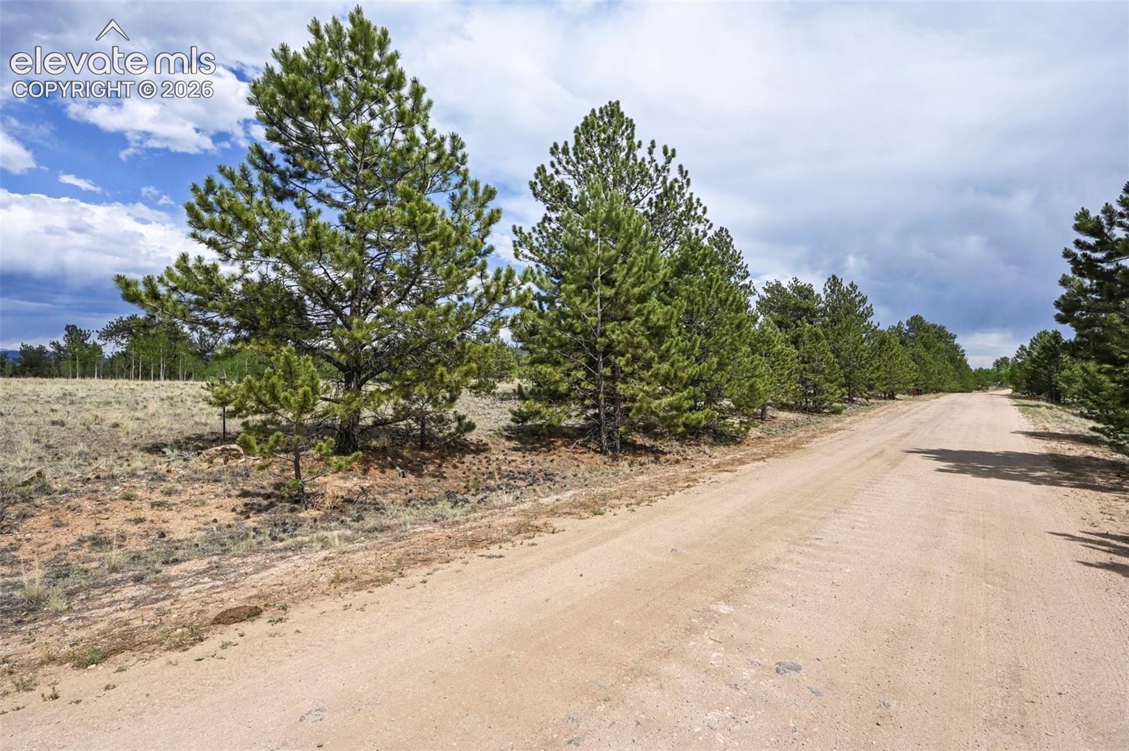 614 Yellowstone Road Hartsel, CO 80449 - Photo 23 of 42 Gallery Image 23