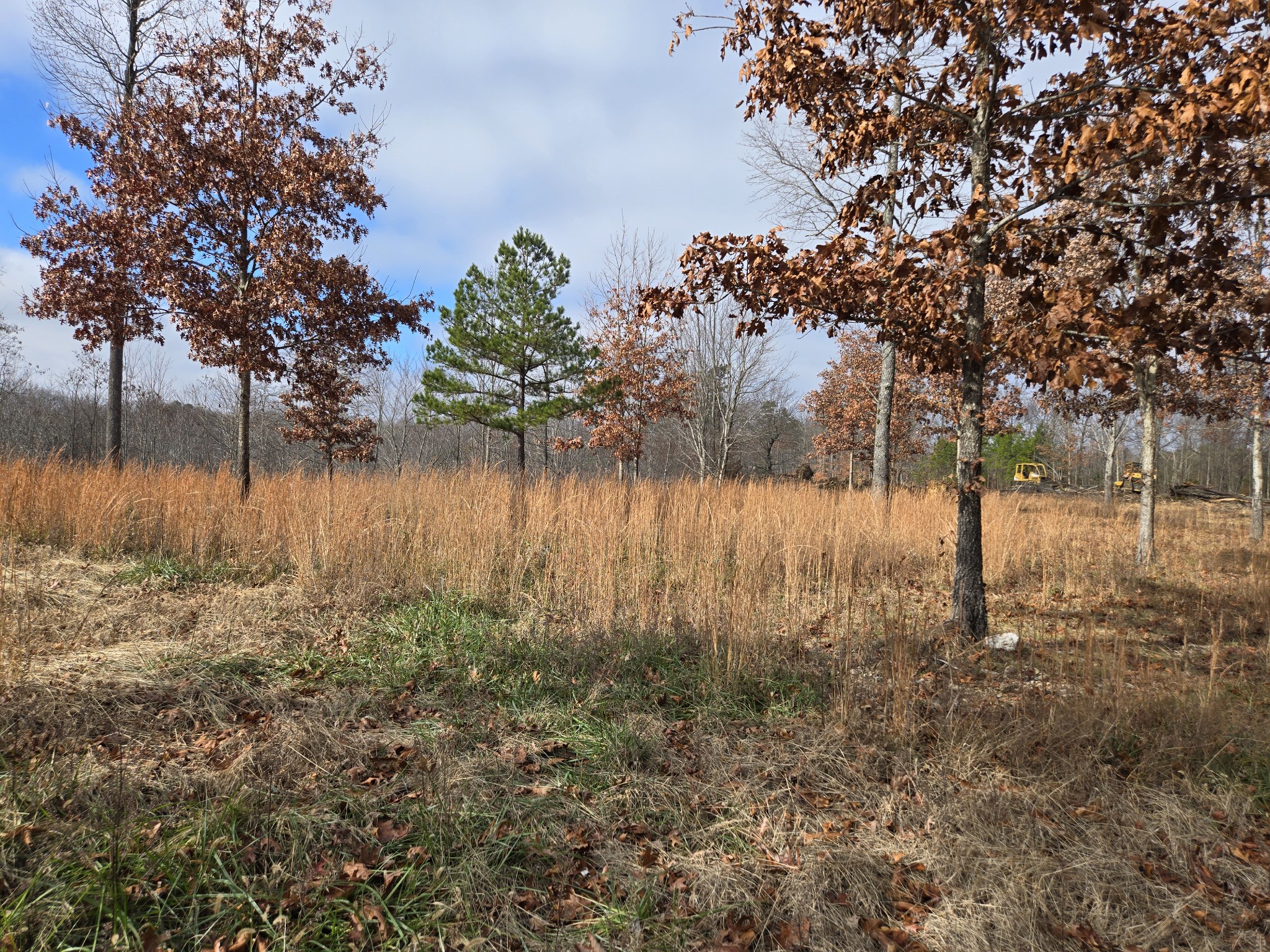 30 West Dry Creek Road Liberty, TN 37095 - Photo 2 of 5 a view of lake with a tree