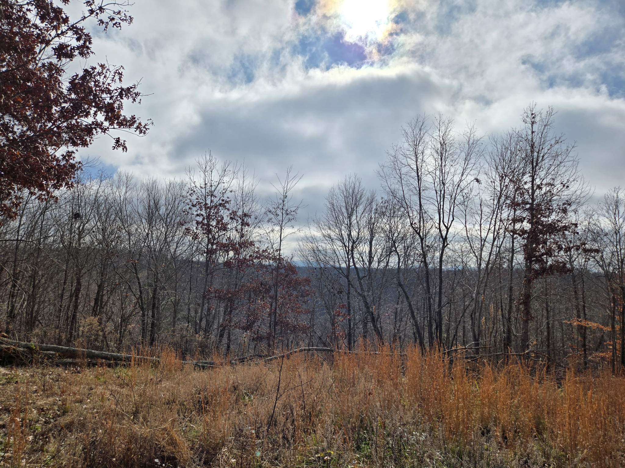 30 West Dry Creek Road Liberty, TN 37095 - Photo 3 of 5