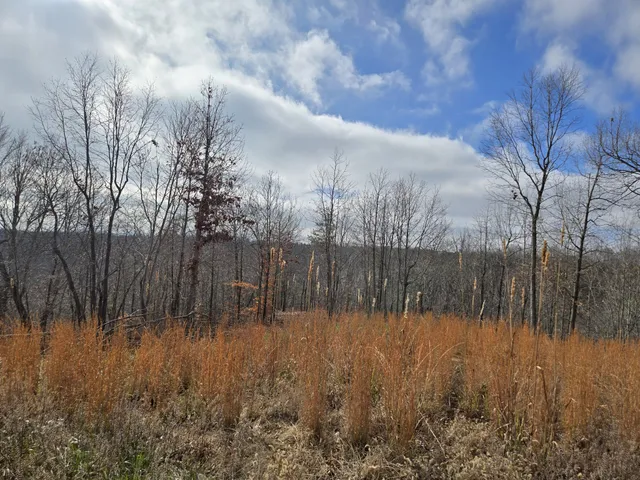 $235,000 | 30 West Dry Creek Road, Liberty, TN 37095