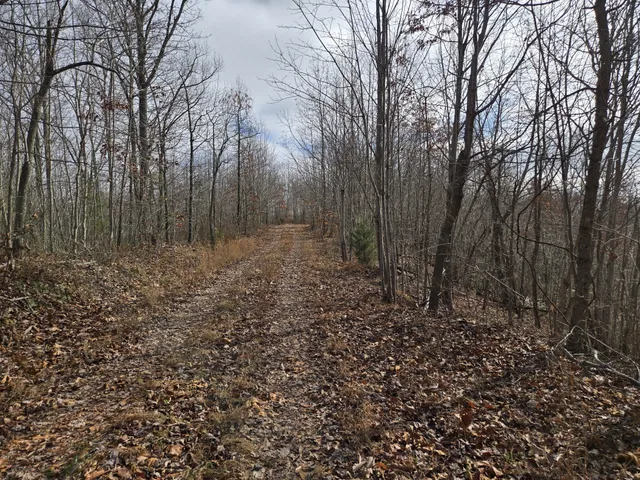 $235,000 | 30 West Dry Creek Road, Liberty, TN 37095