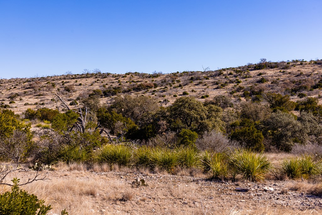 Lot 31 Rocksprings Rocksprings, TX 78880 - Photo 13 of 34