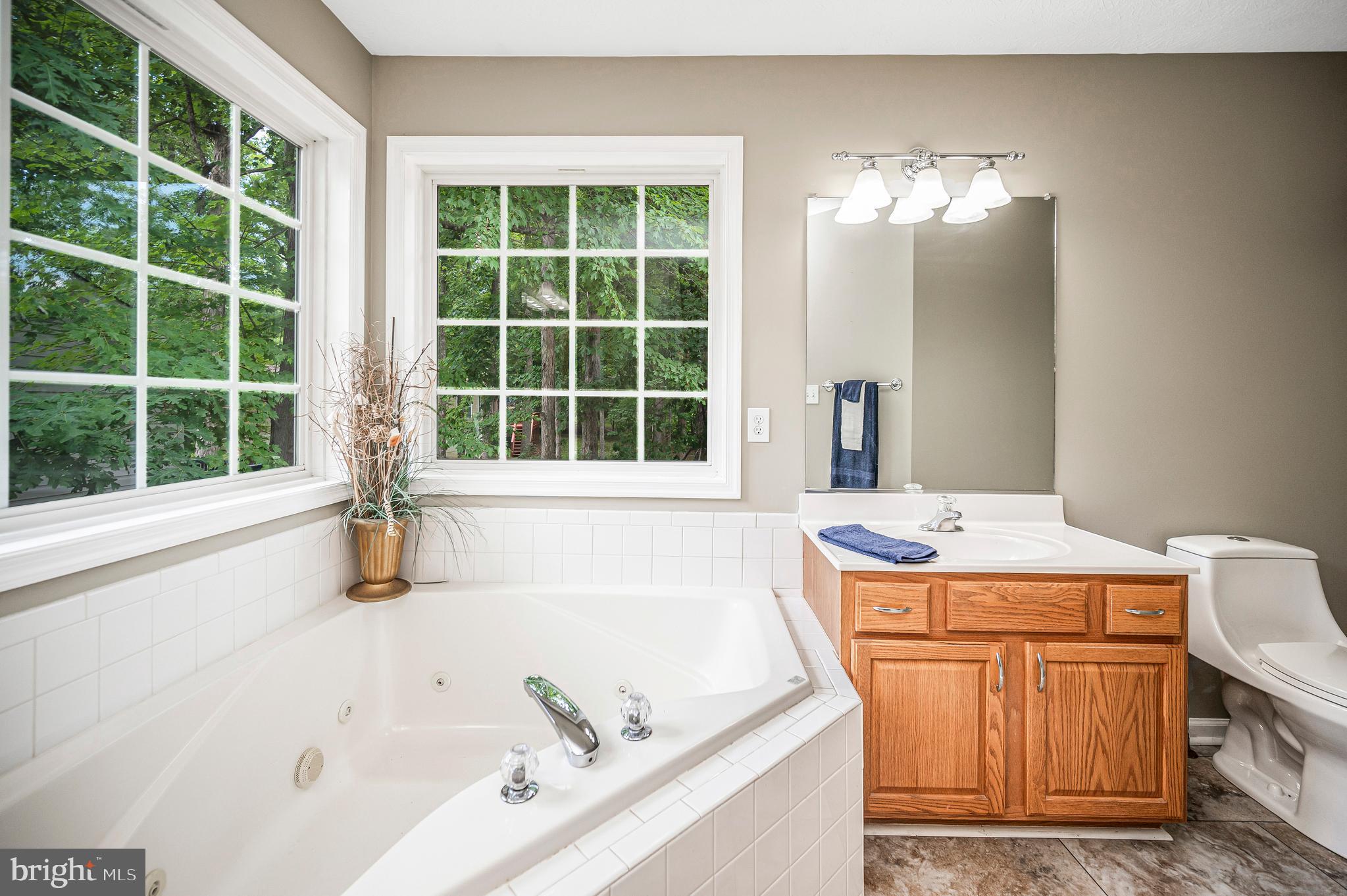 305 Birdie Road Locust Grove, VA 22508 - Photo 36 of 64 jet tub with fab natural light