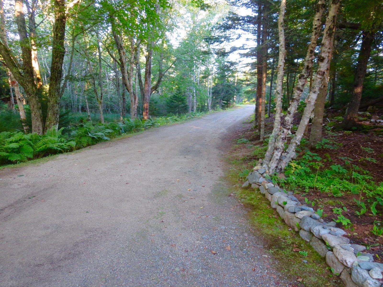 127 Paul Bunyan Road Corea, ME 04624 - Photo 30 of 46 Approach from road.