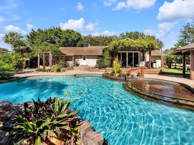 a view of a yard with plants