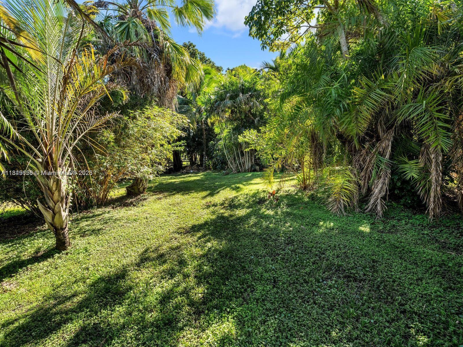 13350 Luray Road Southwest Ranches, FL 33330 - Photo 49 of 56 a big yard with lots of green space and trees