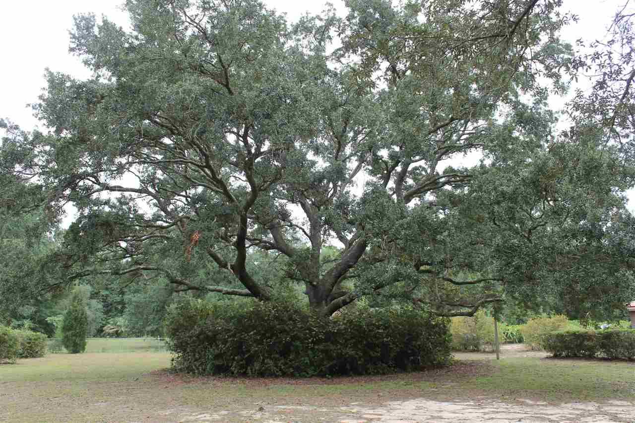 5780 Northrop Road Milton, FL 32570 - Photo 38 of 44 Gallery Image 38