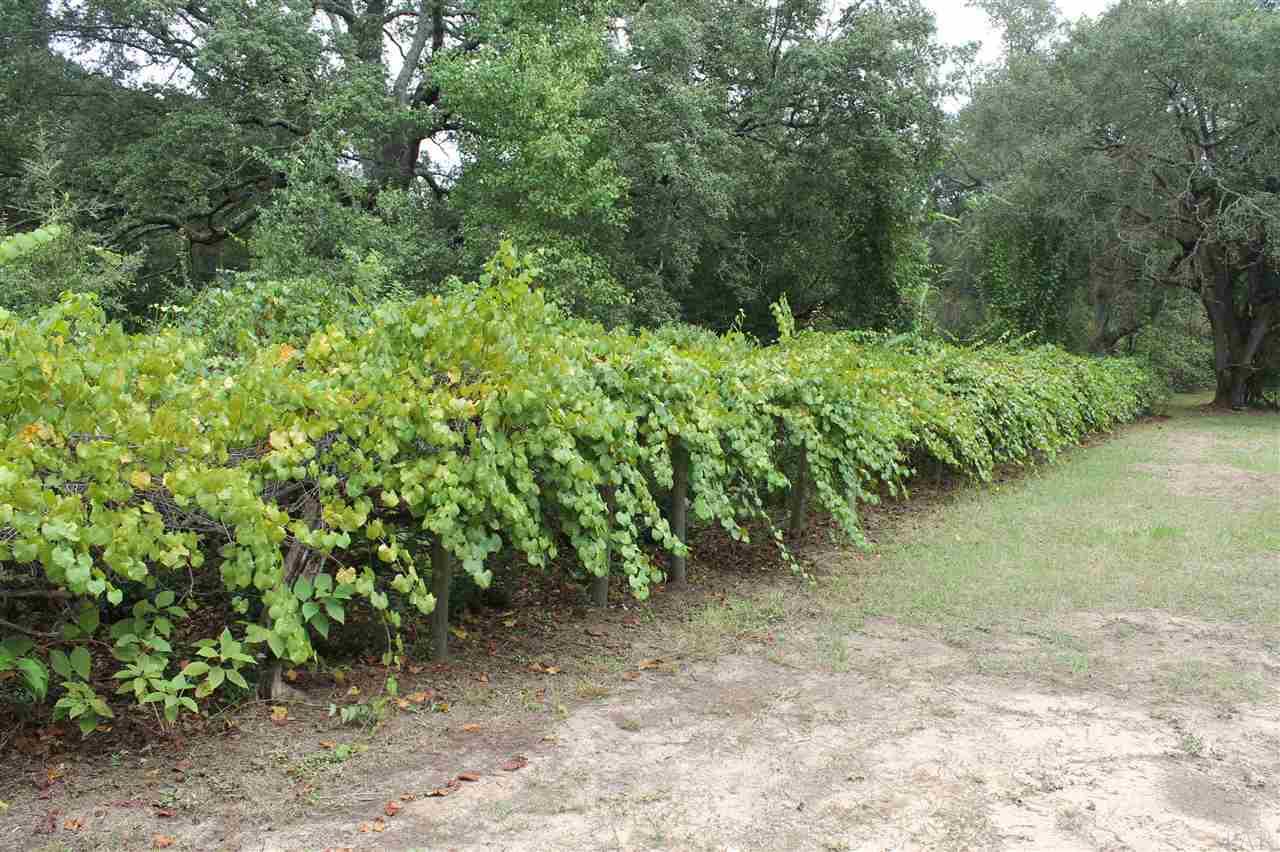 5780 Northrop Road Milton, FL 32570 - Photo 43 of 44 Gallery Image 43