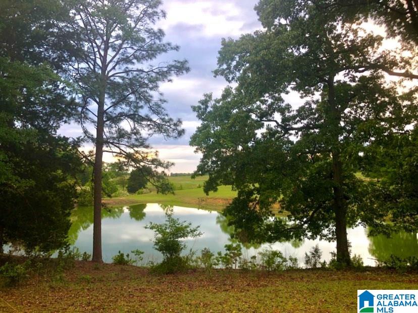 631 County Road 16 Clanton, AL 35045 - Photo 14 of 41