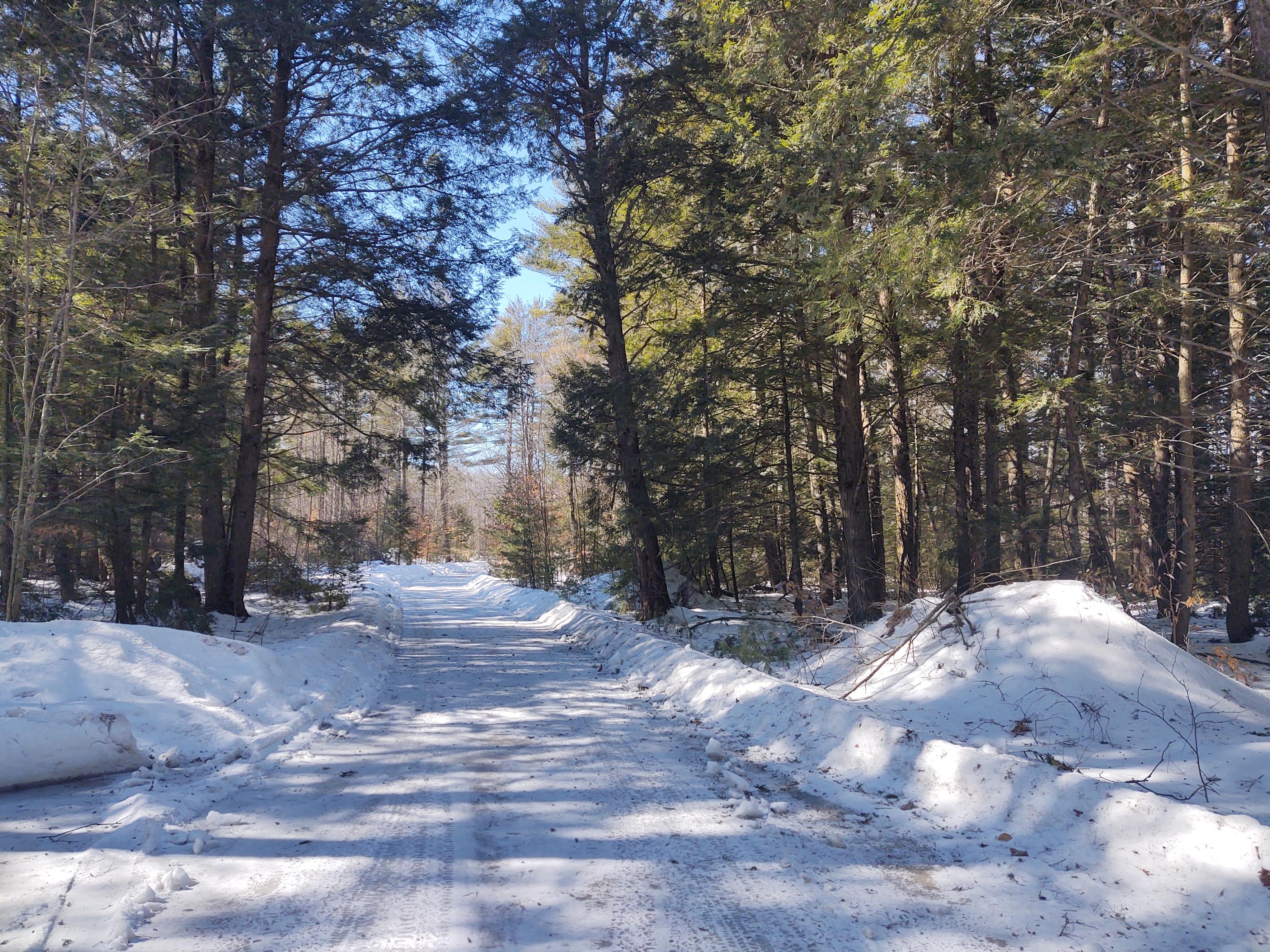 233 Flat Ground Road Acton, ME 04001 - Photo 4 of 33 driveway