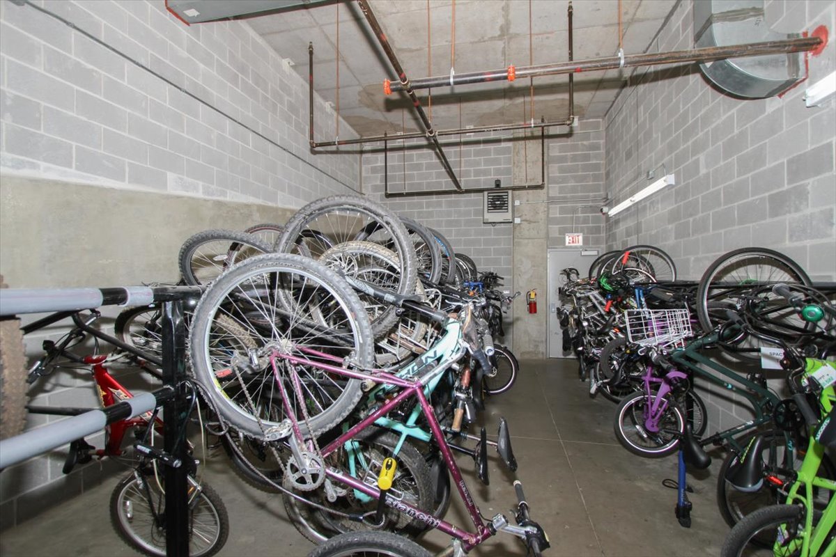 1600 South Prairie Avenue, Unit 1309 Chicago, IL 60616 - Photo 20 of 25