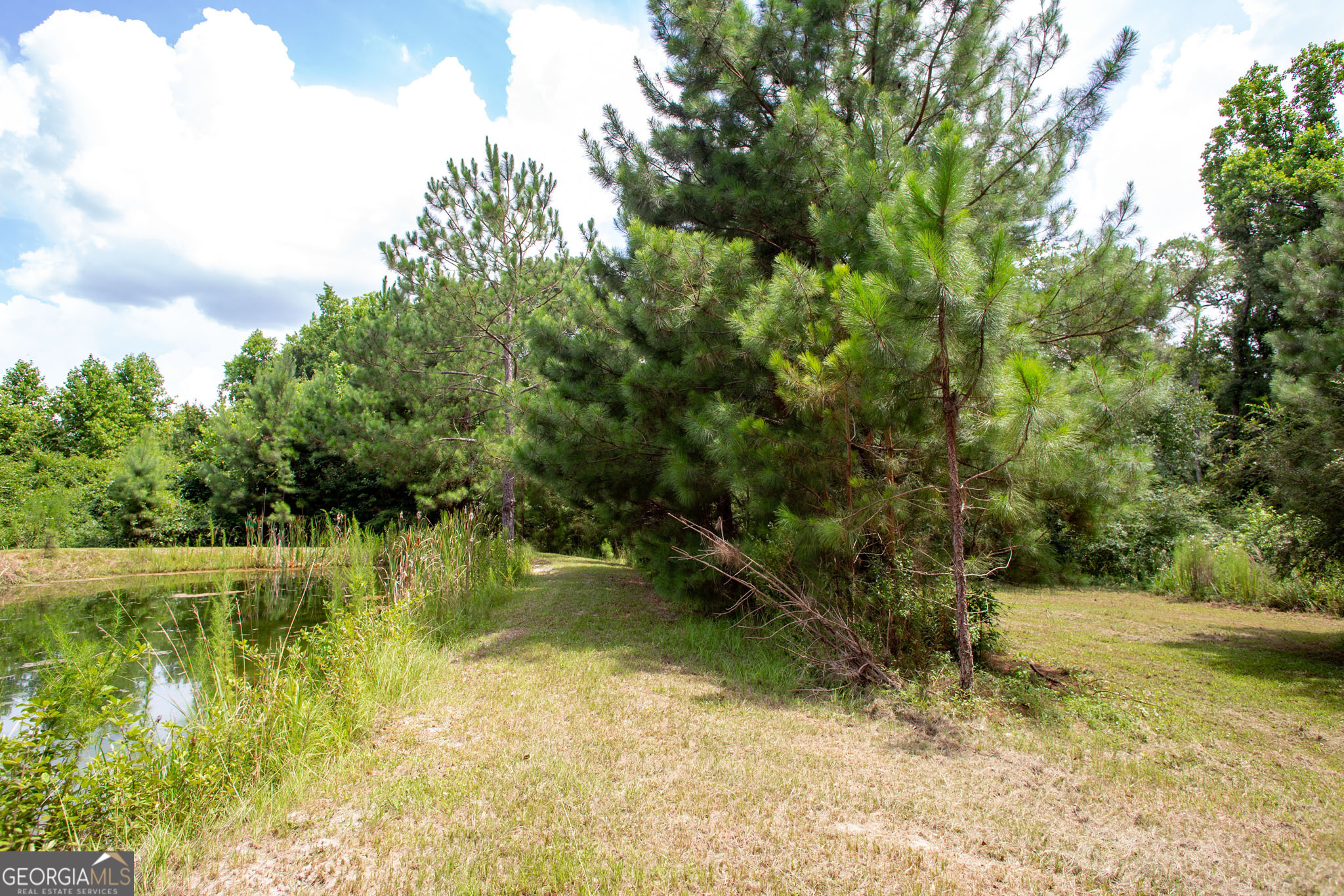 2512 Beulah Church Road Alma, GA 31510 - Photo 26 of 59