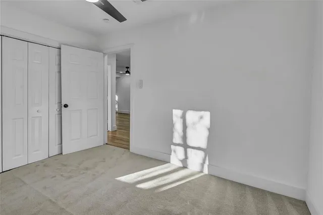 a view of a yard with a large tree