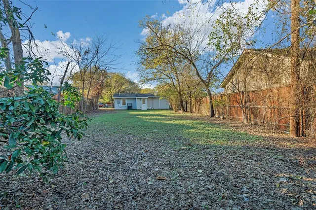 a view of a trees in a park