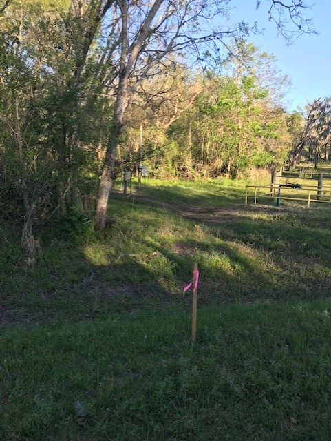 0 East Live Oak Road Van Vleck, TX 77482 - Photo 4 of 10 a view of outdoor space with trees all around