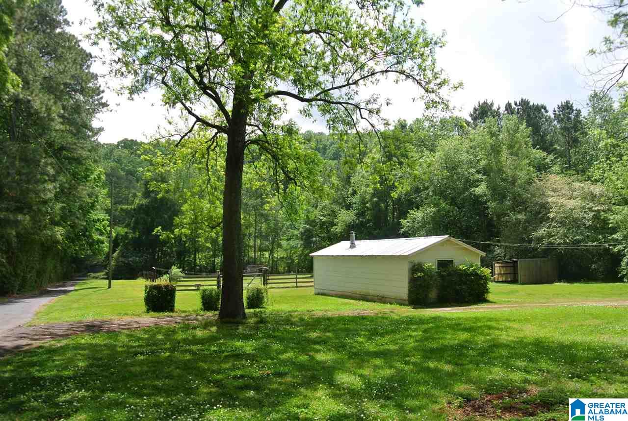 5439 Old Springville Road Northeast Pinson, AL 35126 - Photo 8 of 26