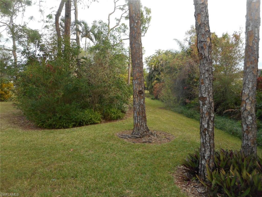 1007 Pine Isle Lane, Unit 1007 Naples, FL 34112 - Photo 20 of 22 a view of a field with a tree