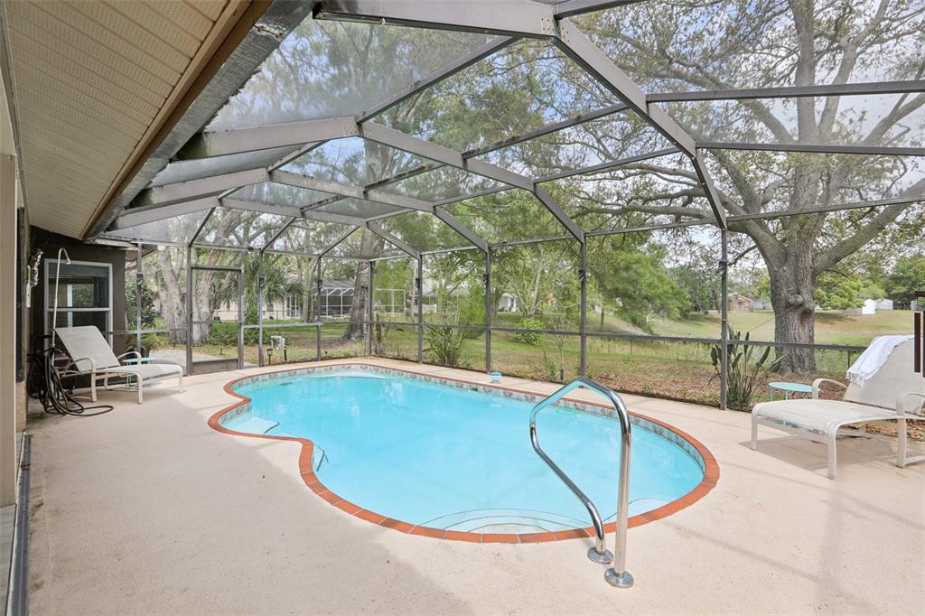 366 Leafy Way Avenue Spring Hill, FL 34606 - Photo 2 of 28