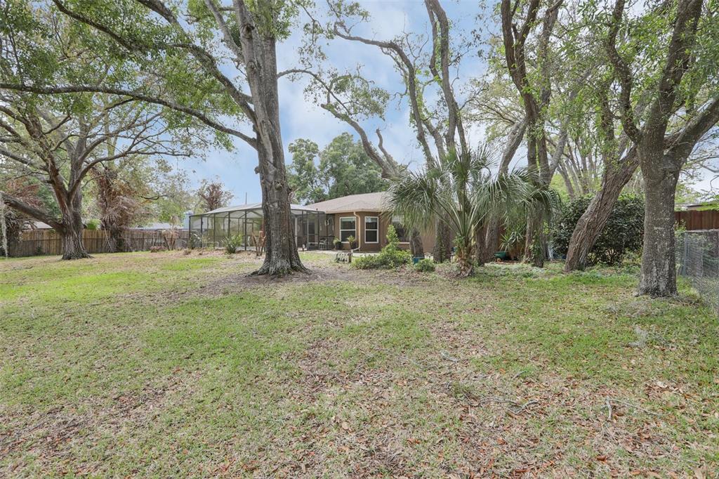 366 Leafy Way Avenue Spring Hill, FL 34606 - Photo 28 of 28