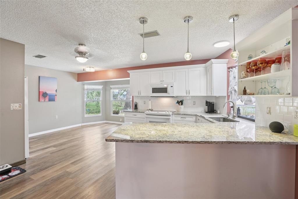 366 Leafy Way Avenue Spring Hill, FL 34606 - Photo 10 of 28