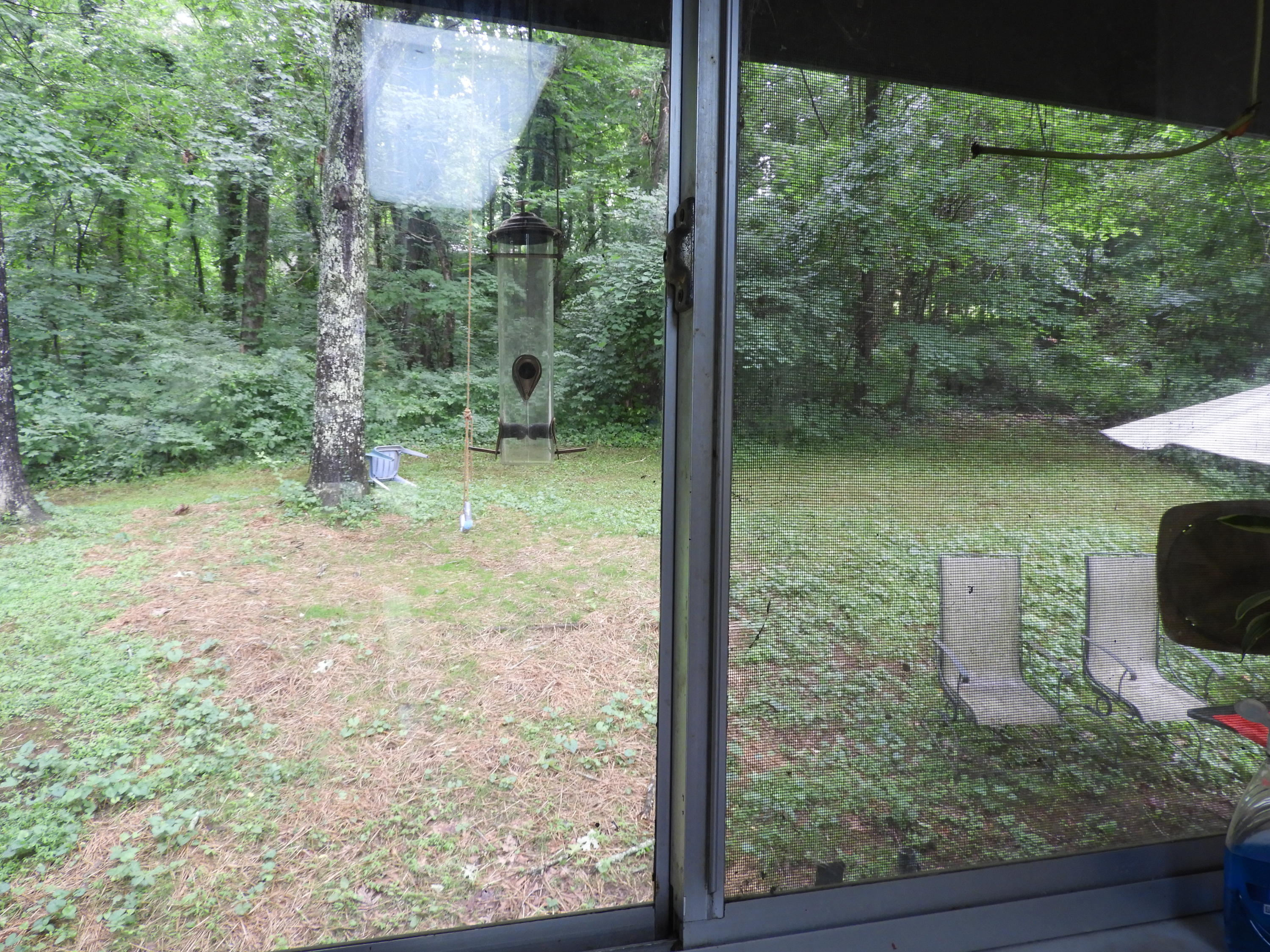 151 Nebraska Avenue Oak Ridge, TN 37830 - Photo 12 of 30 DSCN2820
